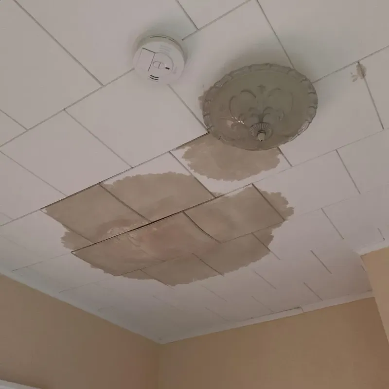 Ceiling Water Damage Repair in Warwick, NY
