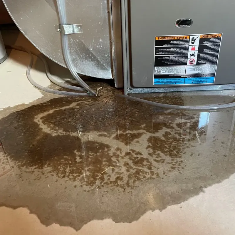 Pipe Burst and Leak Restoration in Warwick, NY